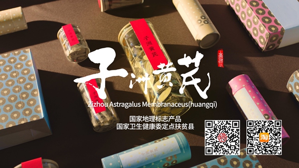 中央电视台“国家品牌计划-广告精准扶贫”项目对“子洲黄芪”进行宣传