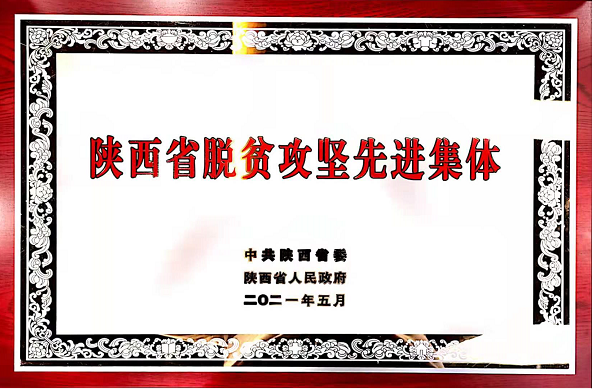 榆林合力公司荣获陕西省脱贫攻坚先进集体称号