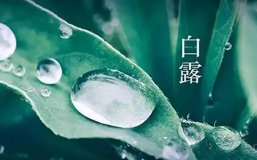 李永刚  散文——《白露为霜》