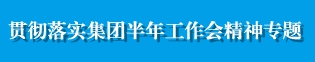 贯彻落实集团半年工作会精神专题